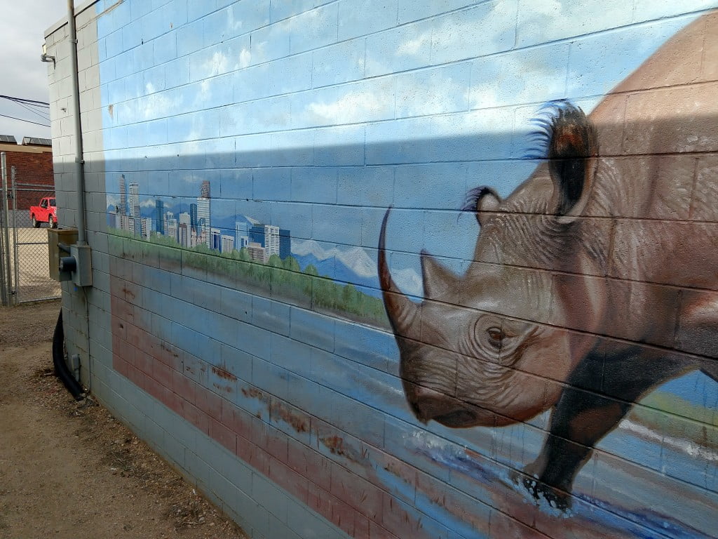 Rhino art on city building